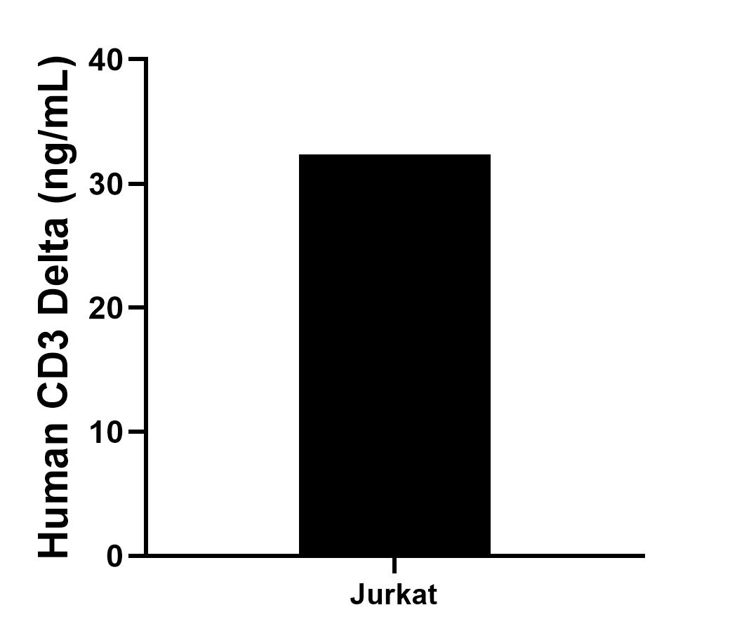 The mean CD3 Delta concentration was determined to be 32.36 ng/mL in Jurkat cell extract based on a 1.50 mg/mL extract load.